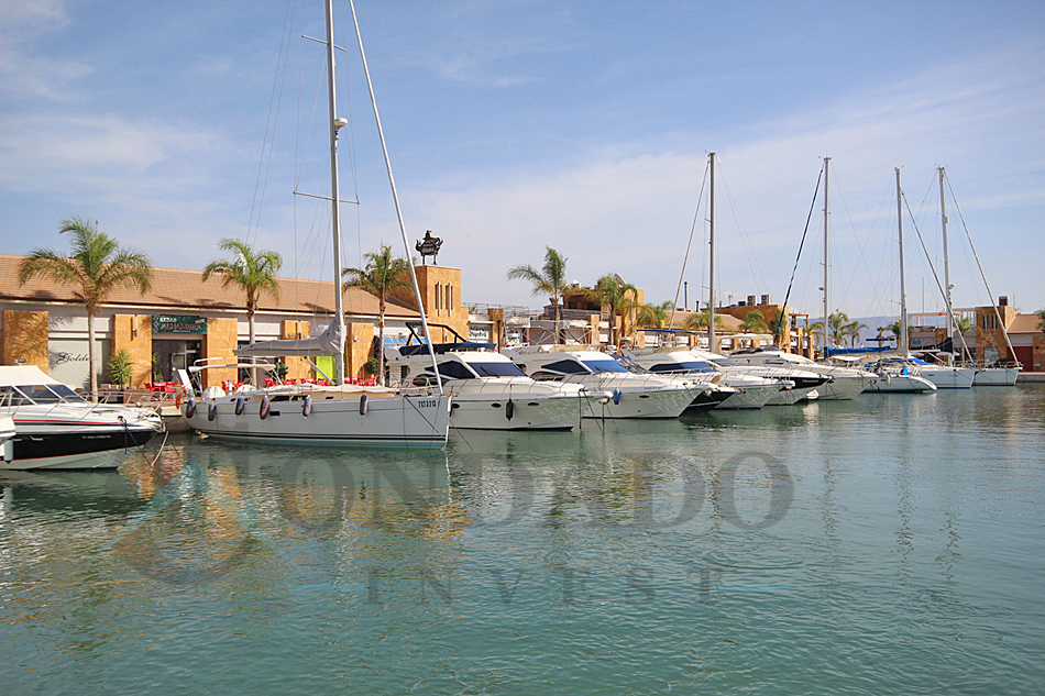Things to do near Condado de Alhama | Condado Invest
