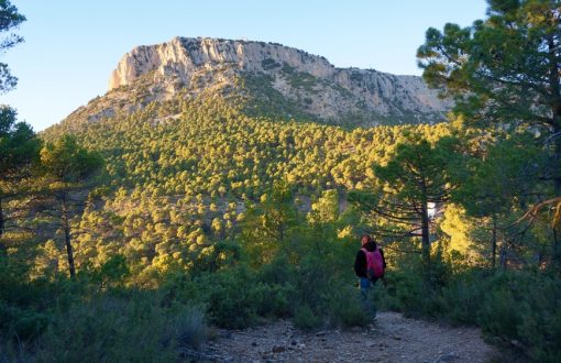 Winter Sun in Murcia Weather, Lifestyle & Property Guide 2026